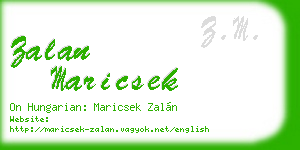 zalan maricsek business card