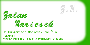 zalan maricsek business card